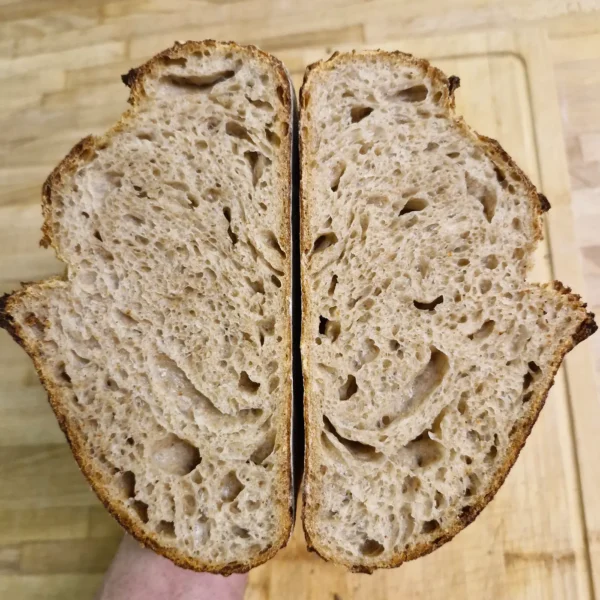 Country Sourdough - Wholewheat