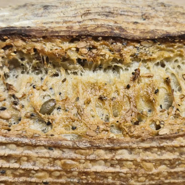 Multi Seed Sourdough